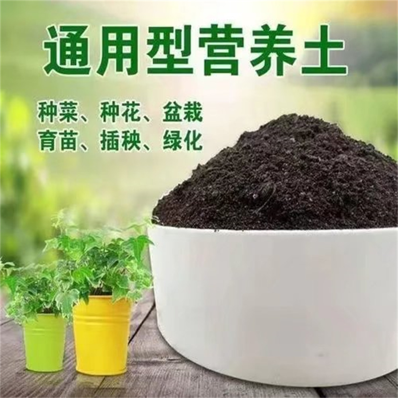 营养土